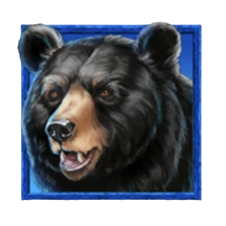 Bear Symbol